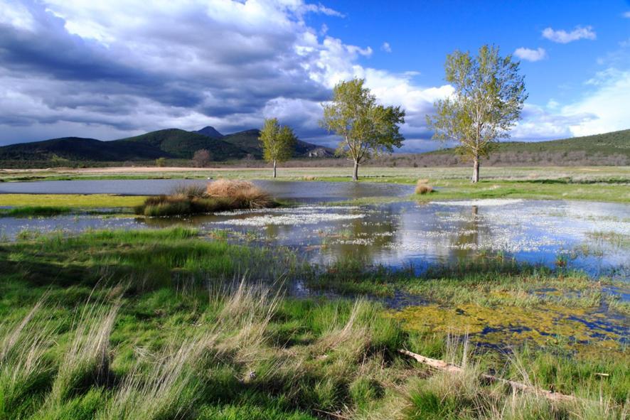 Casa Rural, Spa Y Restaurante El Huerto Del Abuelo Almiruete Екстериор снимка